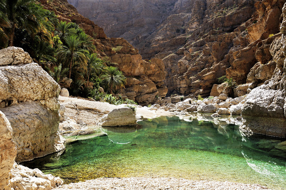 Muscat Port Tour to North Dunes & Wadi Hot Springs - Shore Emotion