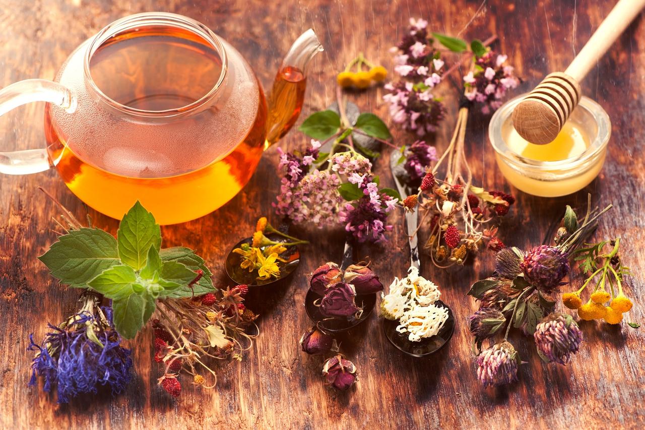 The incredible world of the aromatic herbs: colors and fragrances
